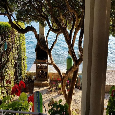 Apartman Andrija Bibinje Bagian luar foto