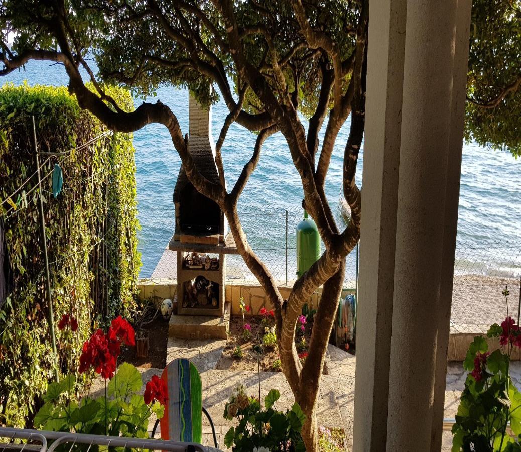 Apartman Andrija Bibinje Bagian luar foto
