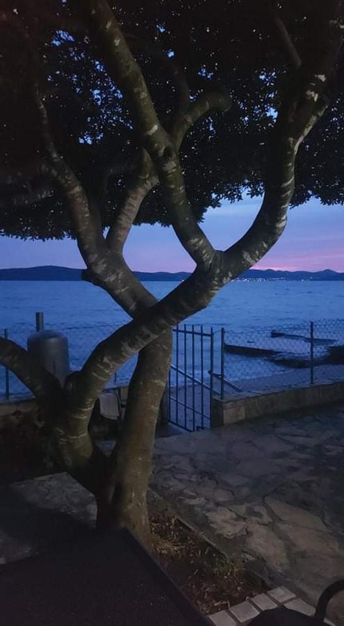 Apartman Andrija Bibinje Bagian luar foto